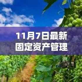 新固定资产管理办法下的企业投资与风险管理策略探讨(11月7日最新版)