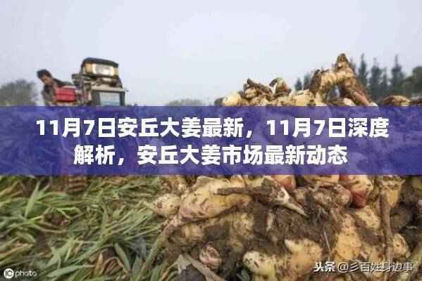 眉飞色舞 第52页