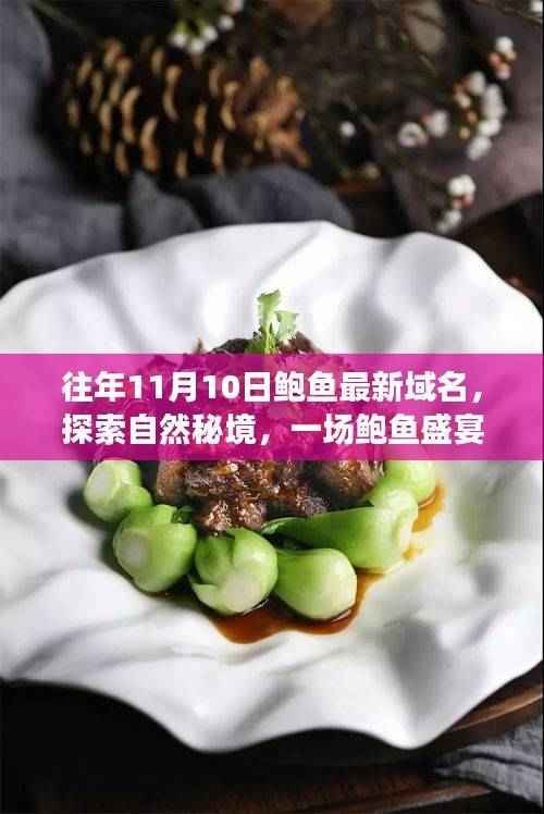 鲍鱼盛宴与秘境探索，一场寻找内心平静的鲍鱼最新域名奇妙旅程