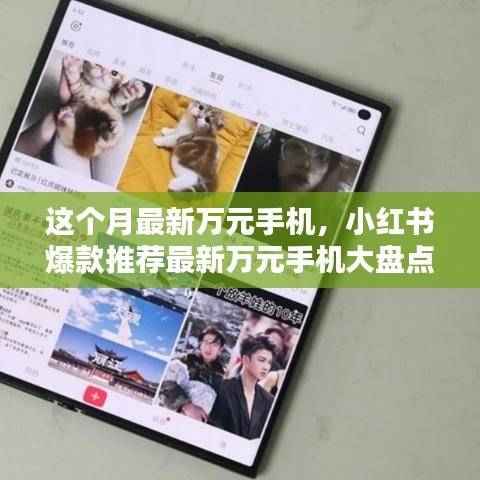 这个月的顶级之选,小红书爆款推荐最新万元手机大盘点