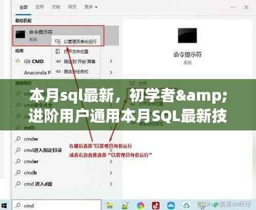 本月SQL最新技能学习,初学者与进阶用户的通用指南