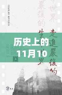 王安石故里新发现与美景心灵之旅,历史与自然的交汇点(11月10日最新消息)