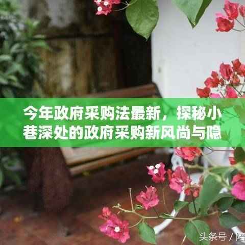 今年政府采购法最新,小巷深处的特色小店与新风尚探秘