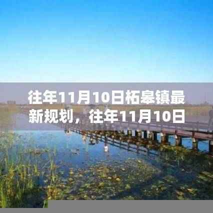 往年11月10日柘皋镇最新规划揭秘,参与规划过程详解