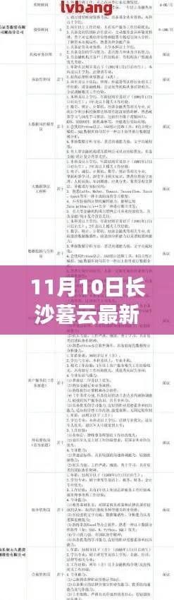 长沙暮云最新招聘信息探秘,11月10日全新招聘动态揭秘