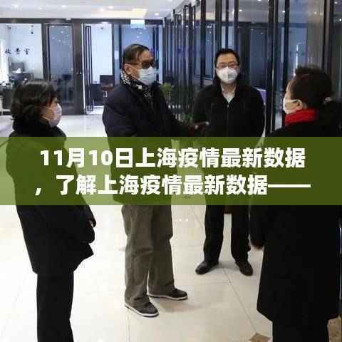 上海疫情最新数据详解,11月10日更新,初学者与进阶用户指南