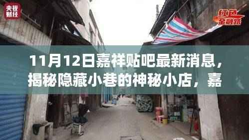 揭秘隐藏小巷的神秘小店,嘉祥贴吧最新美食探秘之巷深香飘