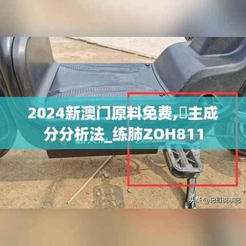 2024新澳门原料免费,‌主成分分析法_练肺ZOH811