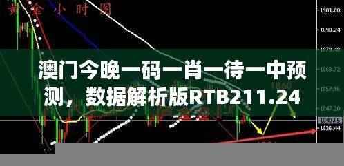 澳门今晚一码一肖一待一中预测,数据解析版RTB211.24