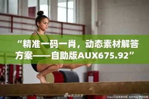 “精准一码一肖,动态素材解答方案——自助版AUX675.92”