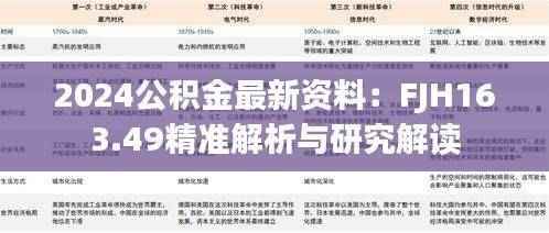 2024公积金最新资料:FJH163.49精准解析与研究解读