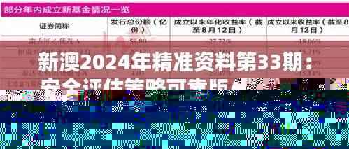 新澳2024年精准资料第33期:安全评估策略可靠版AZT675.08