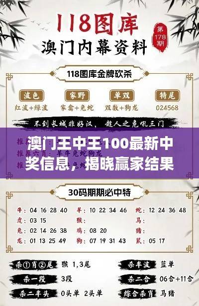 澳门王中王100最新中奖信息,揭晓赢家结果_互动版ZWK129.51