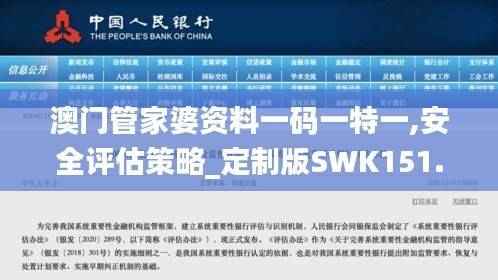 澳门管家婆资料一码一特一,安全评估策略_定制版SWK151.57