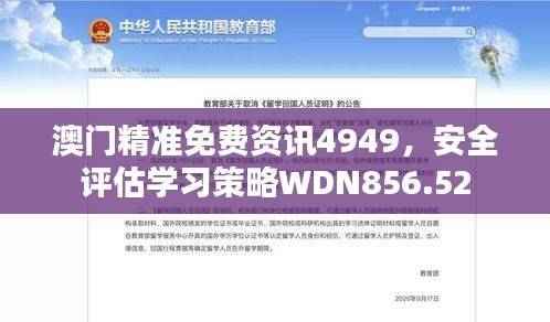澳门精准免费资讯4949,安全评估学习策略WDN856.52
