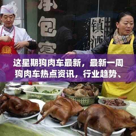 最新狗肉车热点资讯,行业趋势深度解读与热点探讨