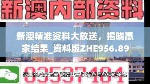 新澳精准资料大放送,揭晓赢家结果_资料版ZHE956.89