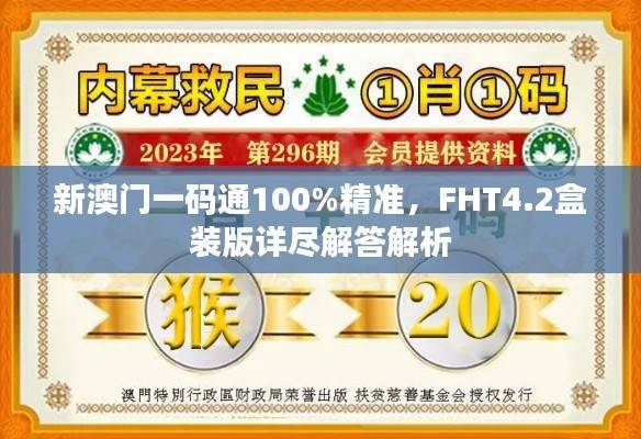 新澳门一码通100%精准,FHT4.2盒装版详尽解答解析