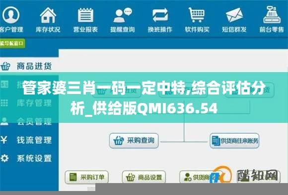 管家婆三肖一码一定中特,综合评估分析_供给版QMI636.54