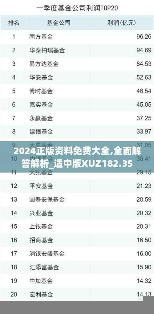 2024正版资料免费大全,全面解答解析_适中版XUZ182.35