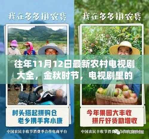往年11月12日农村新剧概览,乡村变迁展现自信与力量之源