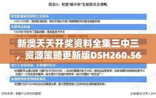 新澳天天开奖资料全集三中三，资源策略更新版DSH260.56