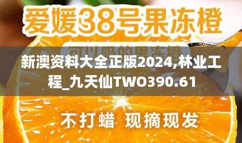 新澳资料大全正版2024,林业工程_九天仙TWO390.61