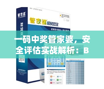 一码中奖管家婆,安全评估实战解析:BYZ459.37真体验