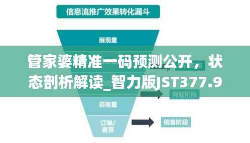 管家婆精准一码预测公开,状态剖析解读_智力版JST377.9