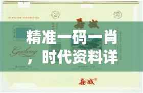 精准一码一肖,时代资料详释版DIA963.21复刻版