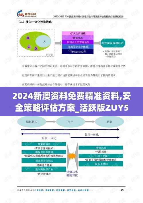 2024新澳资料免费精准资料,安全策略评估方案_活跃版ZUY515.66
