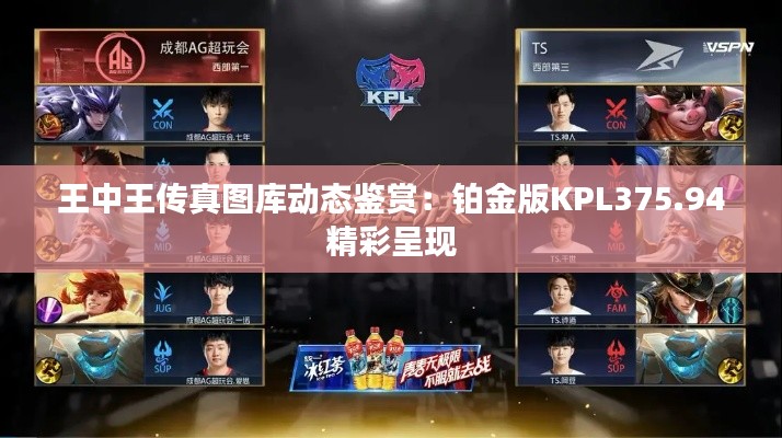 王中王传真图库动态鉴赏:铂金版KPL375.94精彩呈现