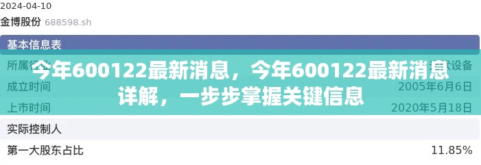 掌握关键信息,今年600122最新消息详解与深度剖析