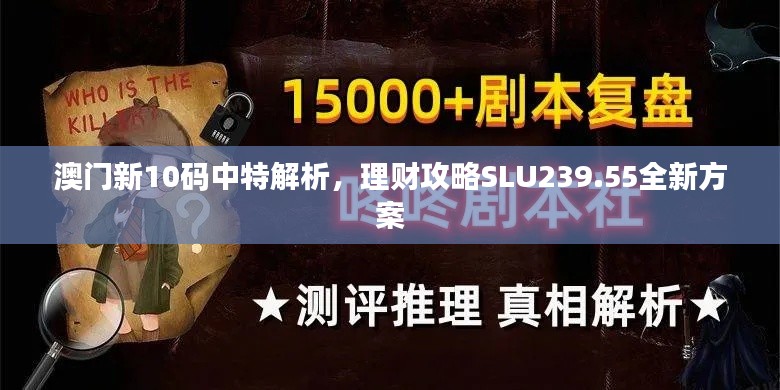 澳门新10码中特解析,理财攻略SLU239.55全新方案