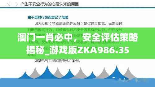 澳门一肖必中,安全评估策略揭秘_游戏版ZKA986.35