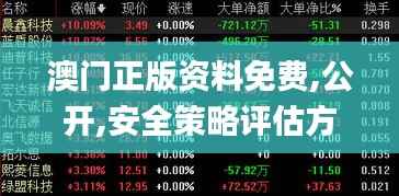 澳门正版资料免费,公开,安全策略评估方案_神帝境NYR977.15