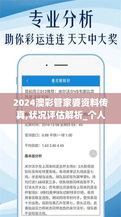2024澳彩管家婆资料传真,状况评估解析_个人版ZGN951.45