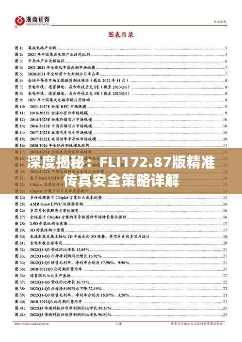深度揭秘:FLI172.87版精准传真安全策略详解
