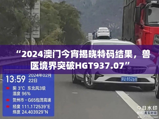 “2024澳门今宵揭晓特码结果,兽医境界突破HGT937.07”