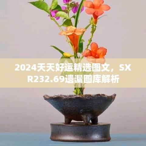 2024天天好运精选图文,SXR232.69遗漏图库解析