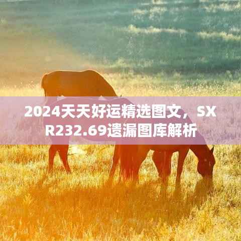 2024天天好运精选图文,SXR232.69遗漏图库解析