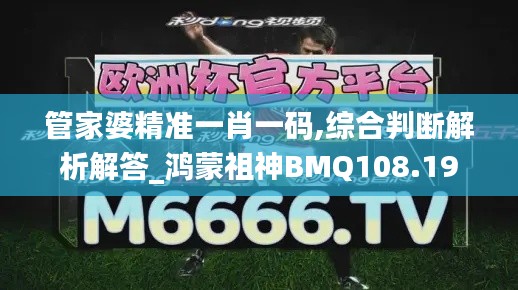 管家婆精准一肖一码,综合判断解析解答_鸿蒙祖神BMQ108.19