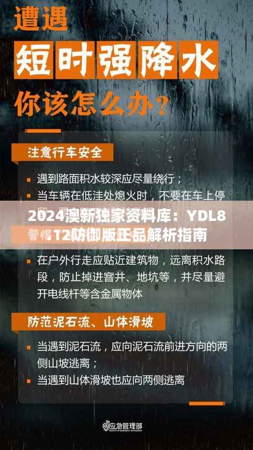 2024澳新独家资料库:YDL8.12防御版正品解析指南