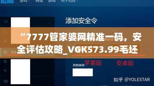 “7777管家婆网精准一码,安全评估攻略_VGK573.99毛坯版”
