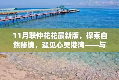 联仲花花最新版,探索自然秘境,心灵港湾的旅行盛宴