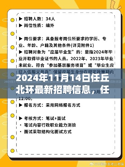 任丘北环最新招聘信息深度评测,特性、体验、竞品对比与用户分析(2024年)