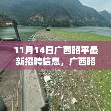 广西昭平最新招聘信息汇总,聚焦就业新动向与时代地位(11月14日)