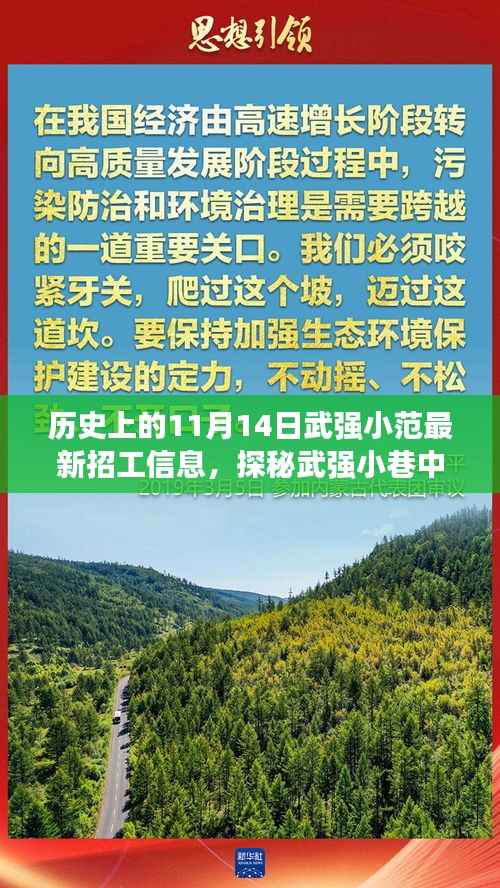 探秘武强小巷隐藏宝藏,最新招工信息与特色小店之旅(11月14日)