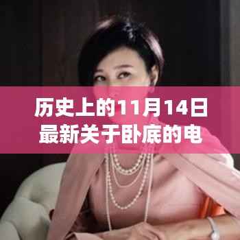 卧底风云,揭秘电视剧背后的秘密守护者,温馨日常与历史的交汇点