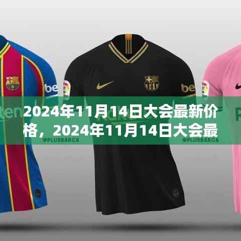 洞悉行业趋势与机遇,2024年11月14日大会最新价格动态发布